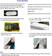 Load image into Gallery viewer, SMART LED Isis Wings Glow Light Up Belly Dance Costumes SHINYOU