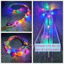 Cargar imagen en el visor de la galería, Light Up Girl Princess Costume Dress for Birthday Cosplay Halloween Party Outfit Princess Dress Up SHINYOU
